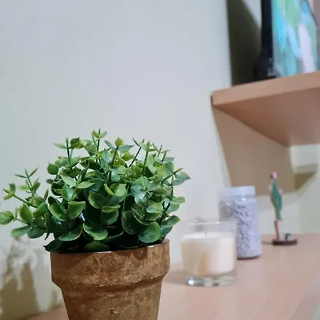 Daire Ex-block District Charming With Treeish Sorrounding View!